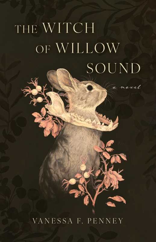 Witch of Willow Sound by Vanessa F. Penney