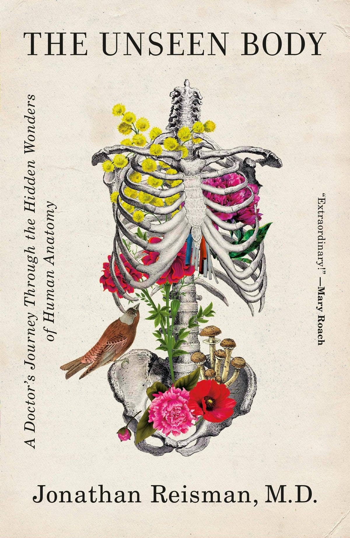 The Unseen Body: A Doctor's Journey In Human Anatomy #1
