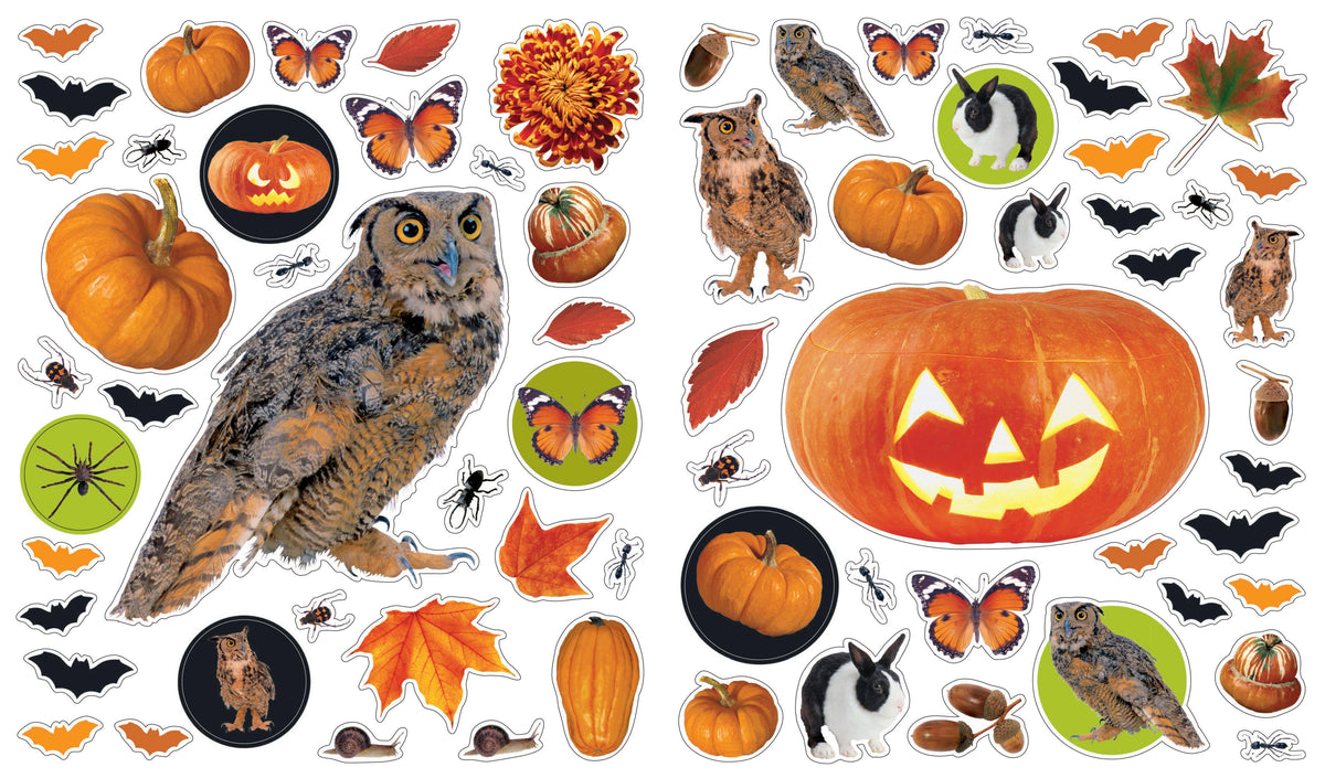 Eyelike Stickers: Halloween
