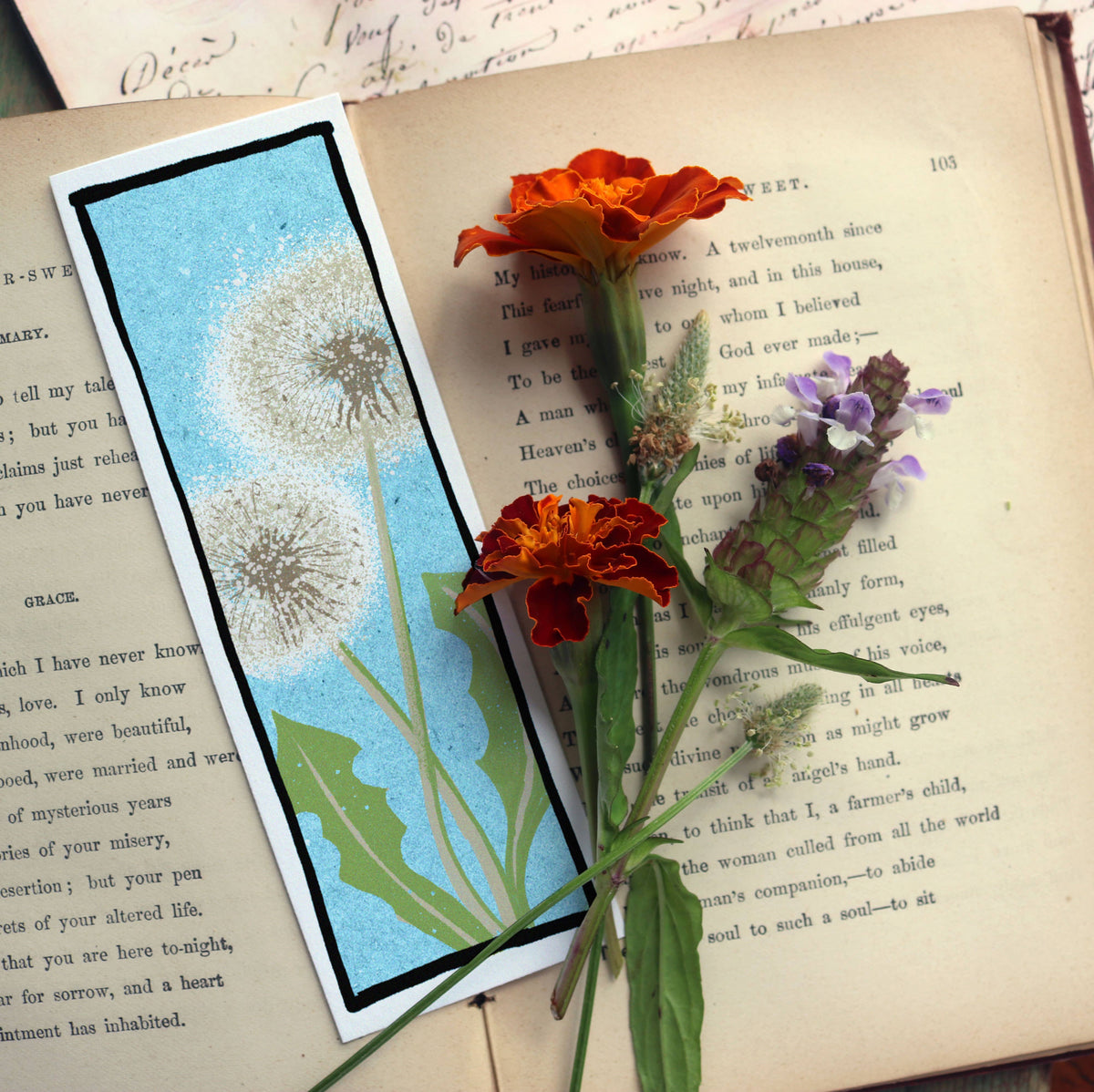 Dandelion Seed Head Illustrated Paper Bookmark