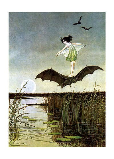 Little Witch Riding Bat - Witches Card