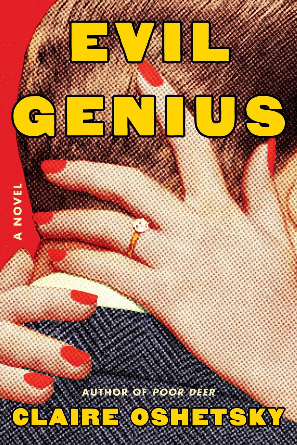 Evil genius: a novel