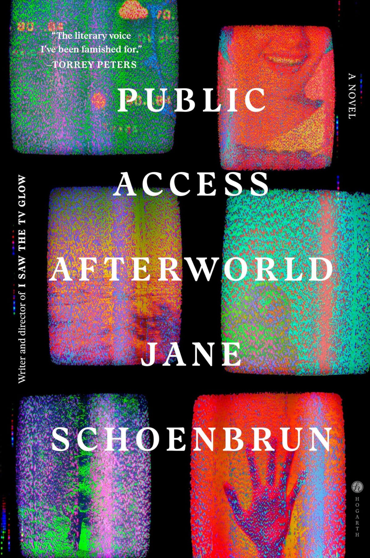 Public access afterworld: a novel