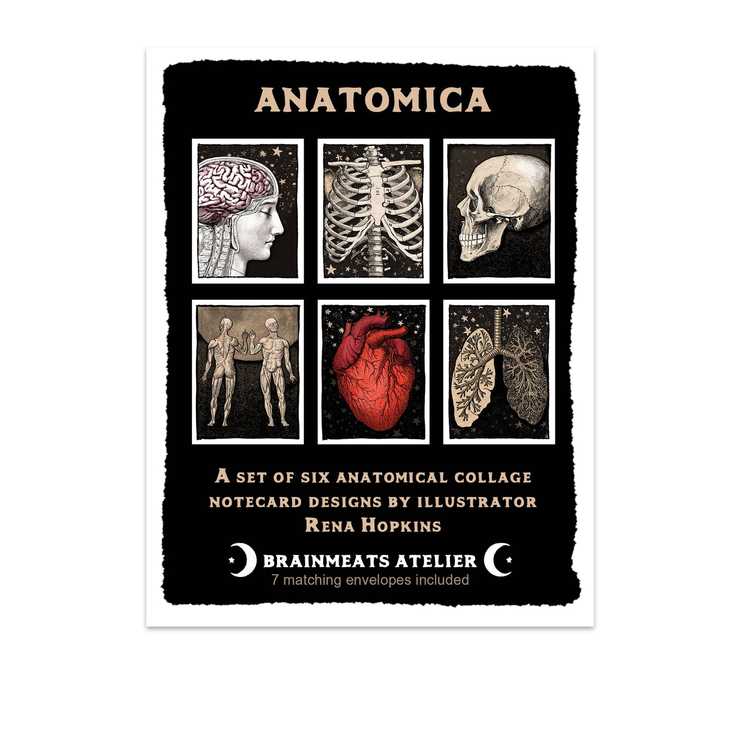 Anatomica – Human Anatomy Boxed Notecard Set