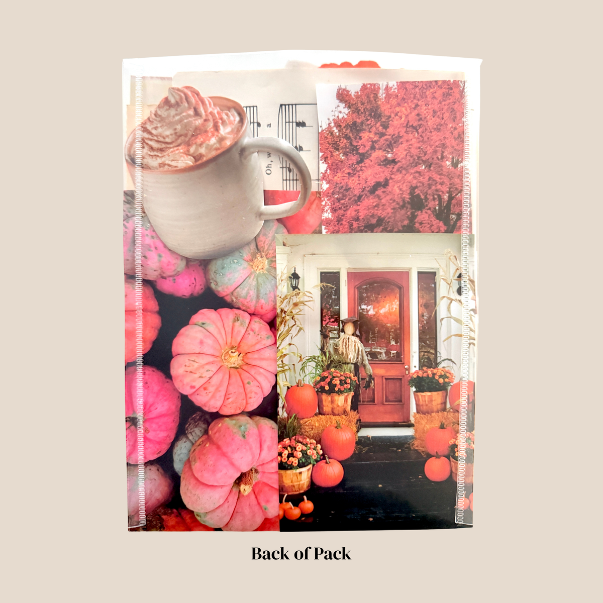 Junk Journal Scrap Pack | Autumn Ephemera