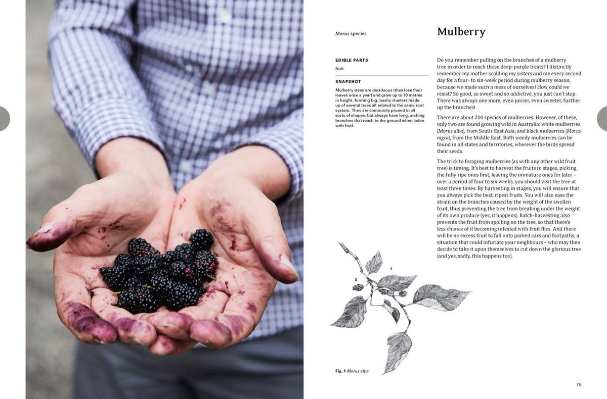 Eat Weeds: A Field Guide to Foraging