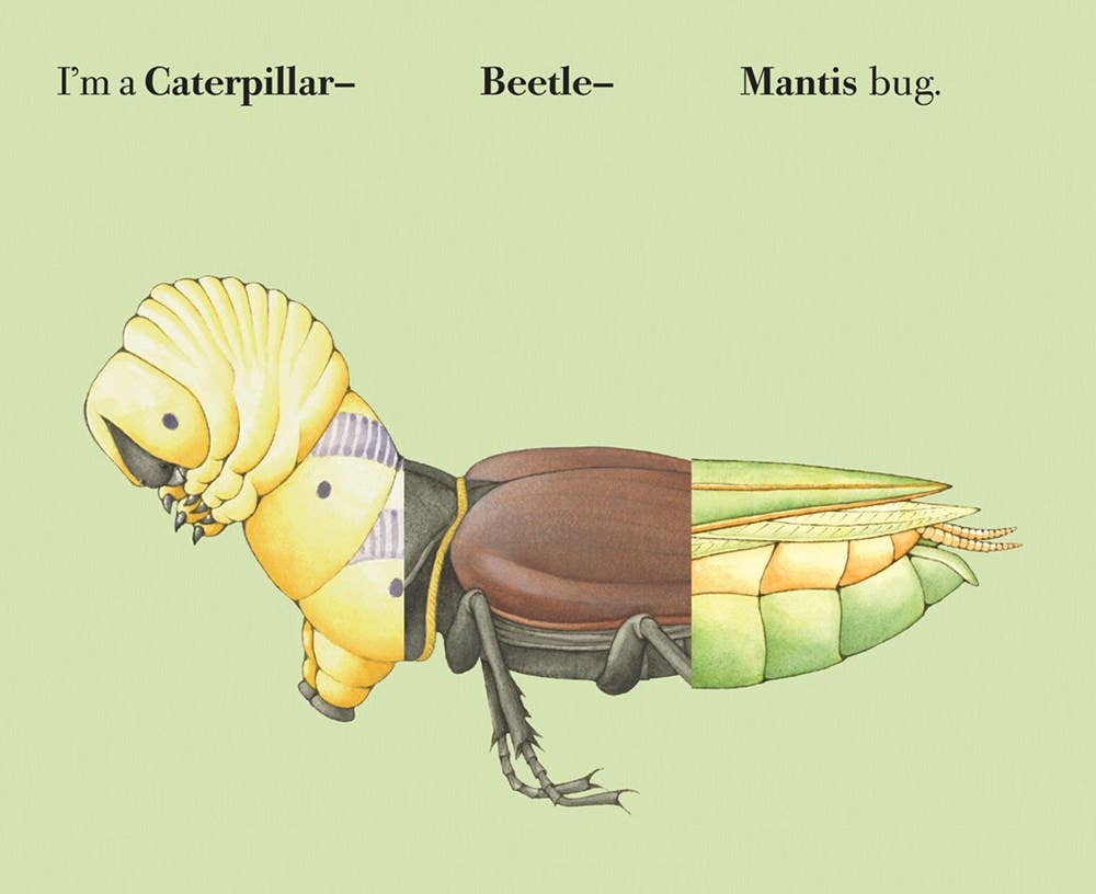 Build-A-Bug