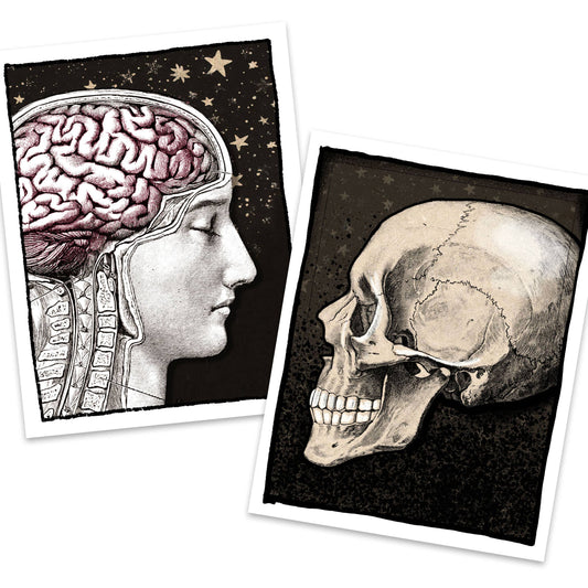 Anatomica – Human Anatomy Boxed Notecard Set
