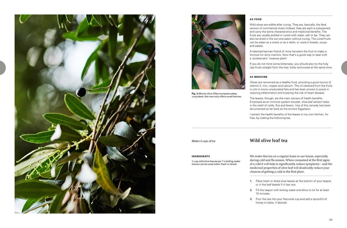 Eat Weeds: A Field Guide to Foraging