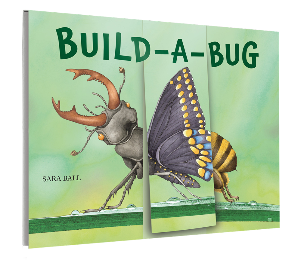 Build-A-Bug