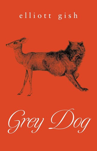 Grey dog