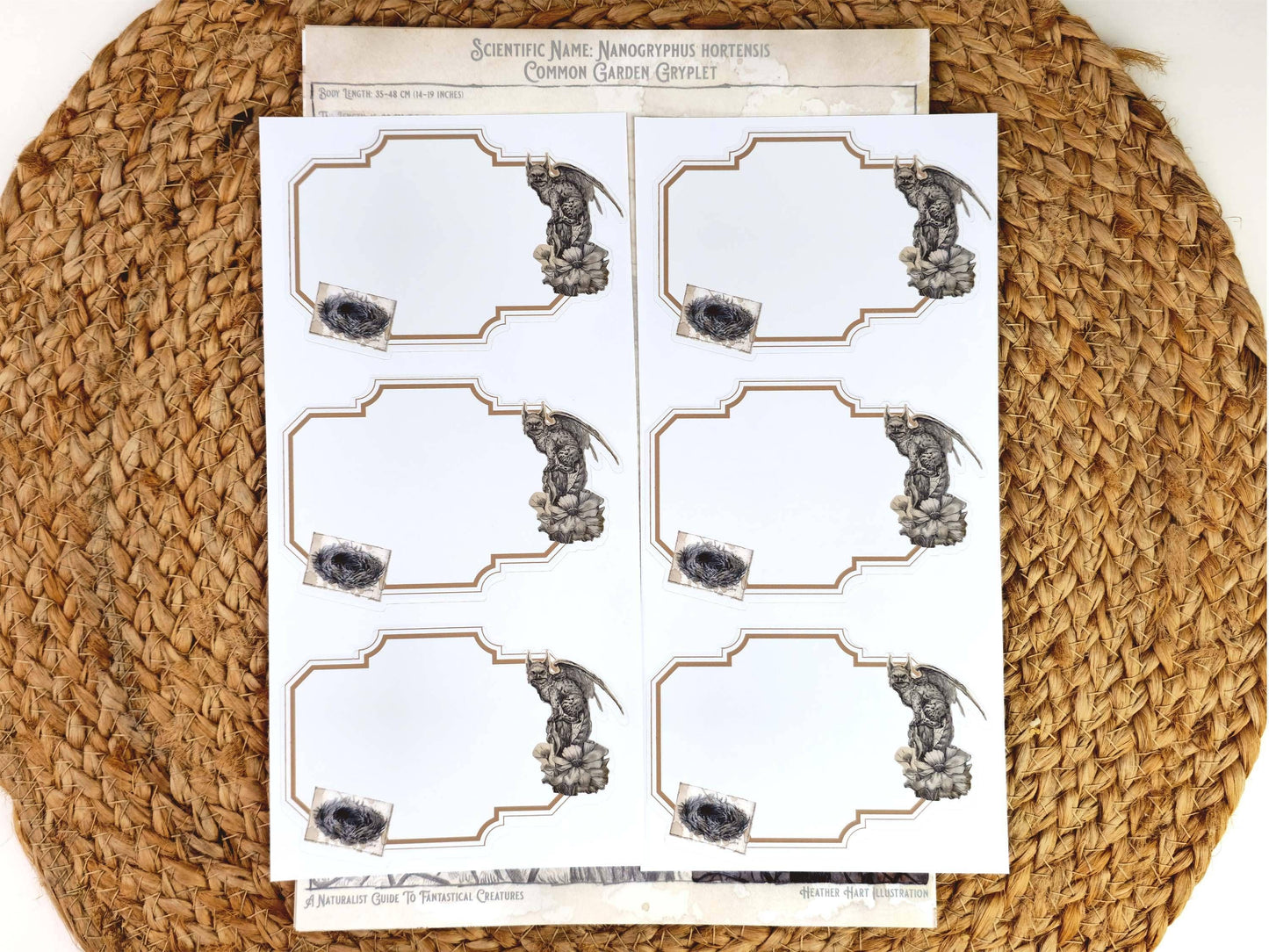 Dark Academia Notepaper Set | Vintage Gryphon Art | A Naturalist's Guide to Fantastical Creatures | Complete Writing Kit