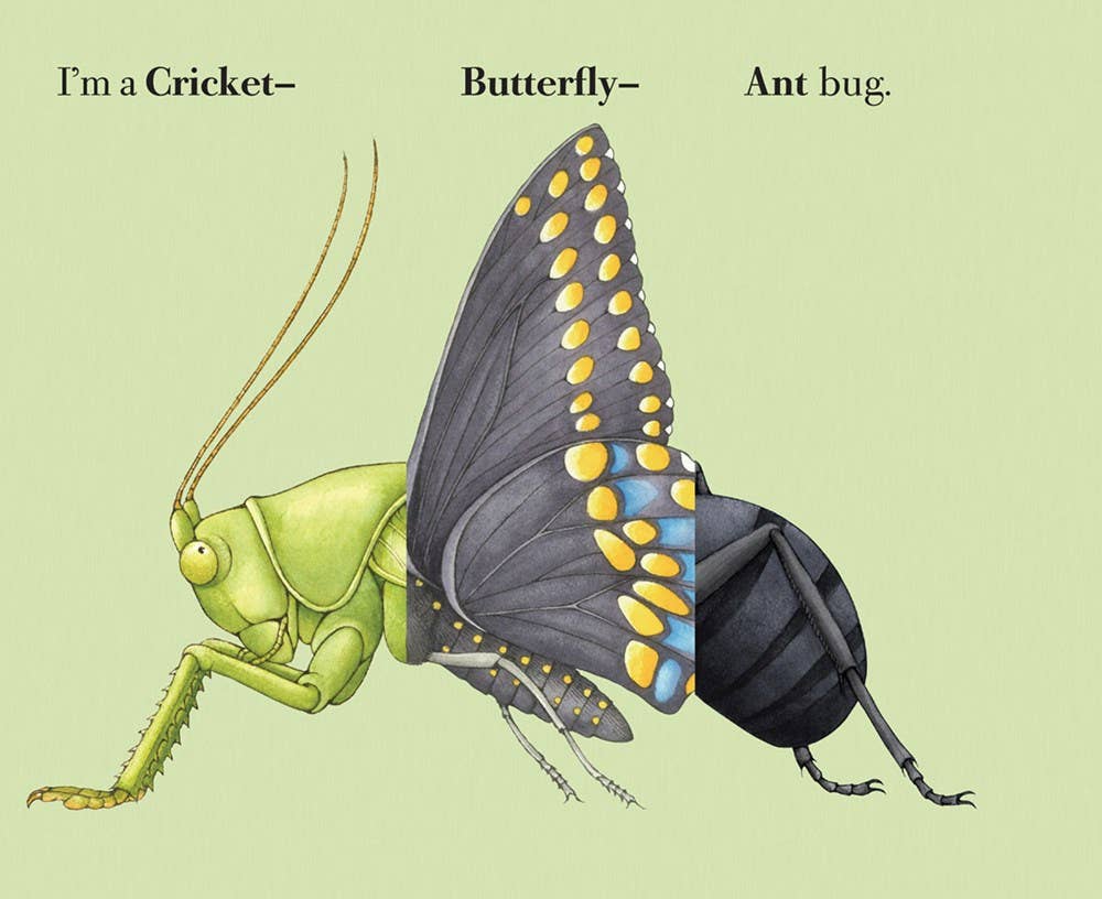 Build-A-Bug