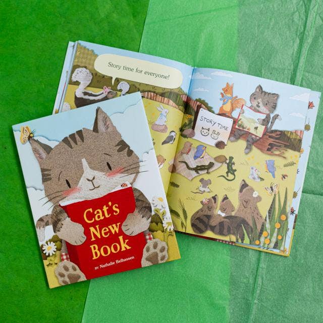 Cat's New Book
