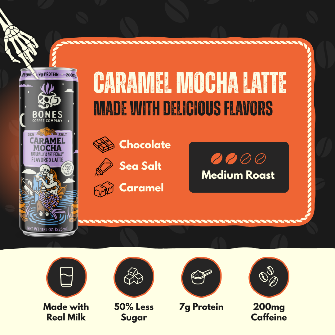 Sea Salt Caramel Mocha Latte Iced Coffee Can