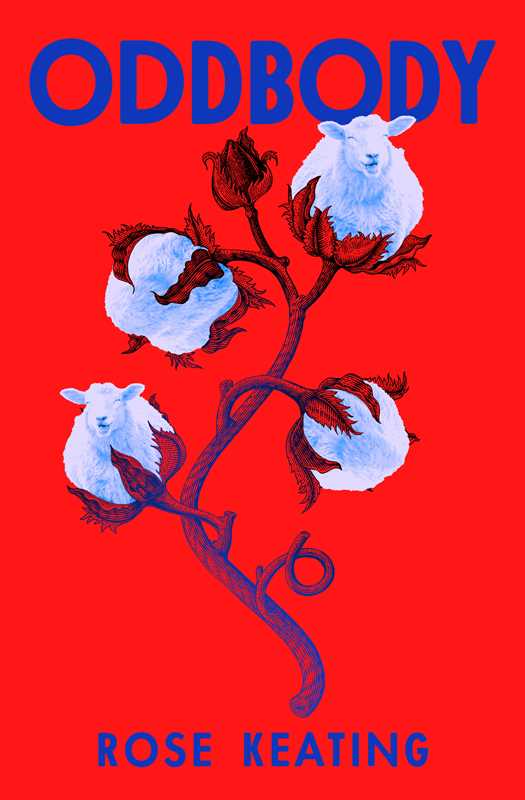 Oddbody by Rose Keating