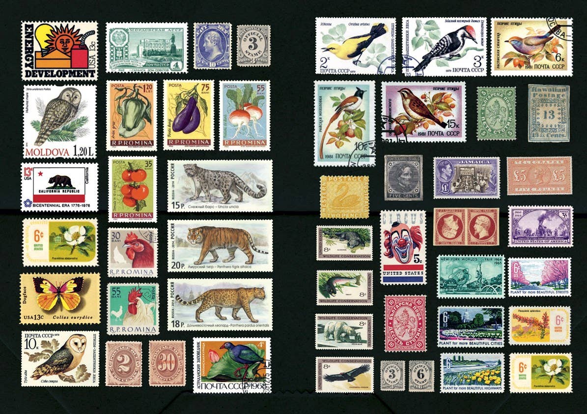 The Curious Collectibles Sticker Book