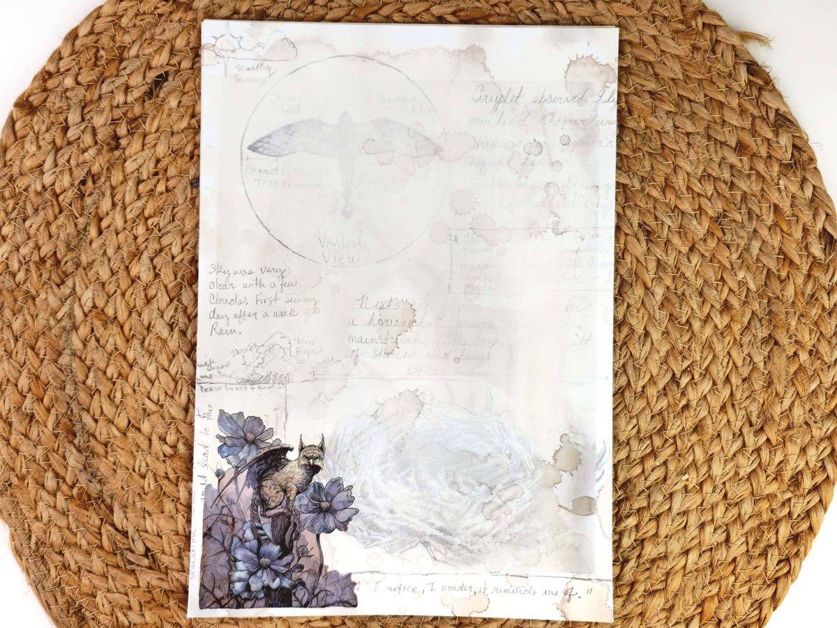 Dark Academia Notepaper Set | Vintage Gryphon Art | A Naturalist's Guide to Fantastical Creatures | Complete Writing Kit