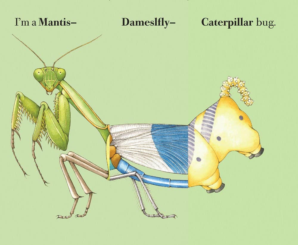 Build-A-Bug