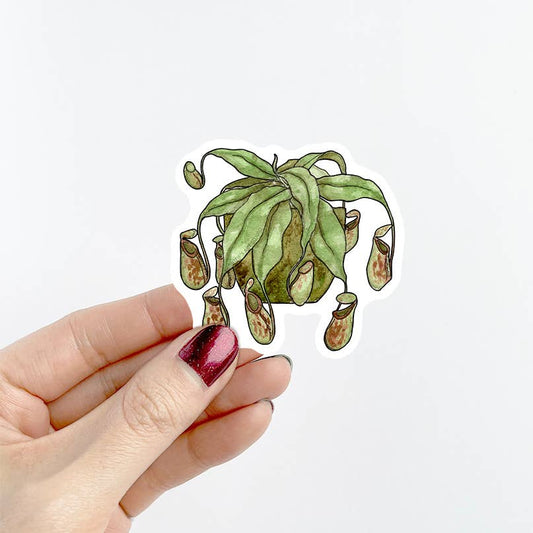 Pitcher Plant Sticker