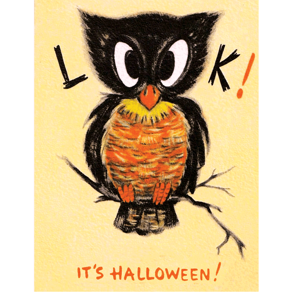 Owl Looking - Halloween Greeting Card