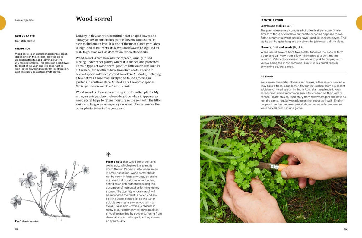 Eat Weeds: A Field Guide to Foraging