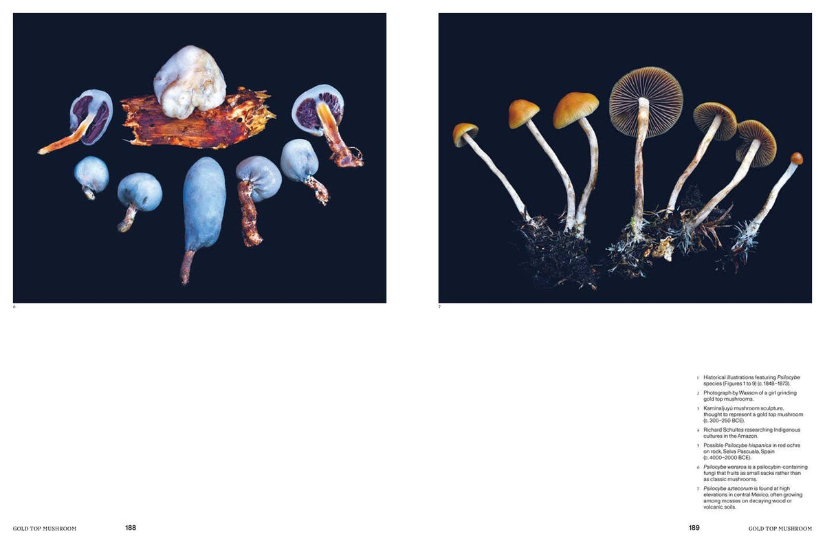 Psychoactive Plants & Fungi
