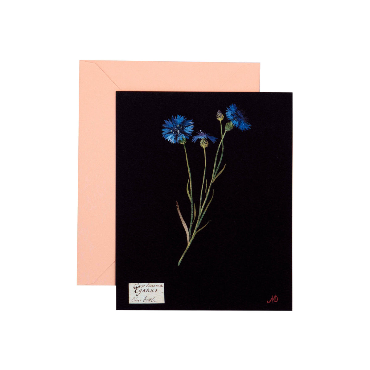 Paper Flowers Cards and Envelopes
