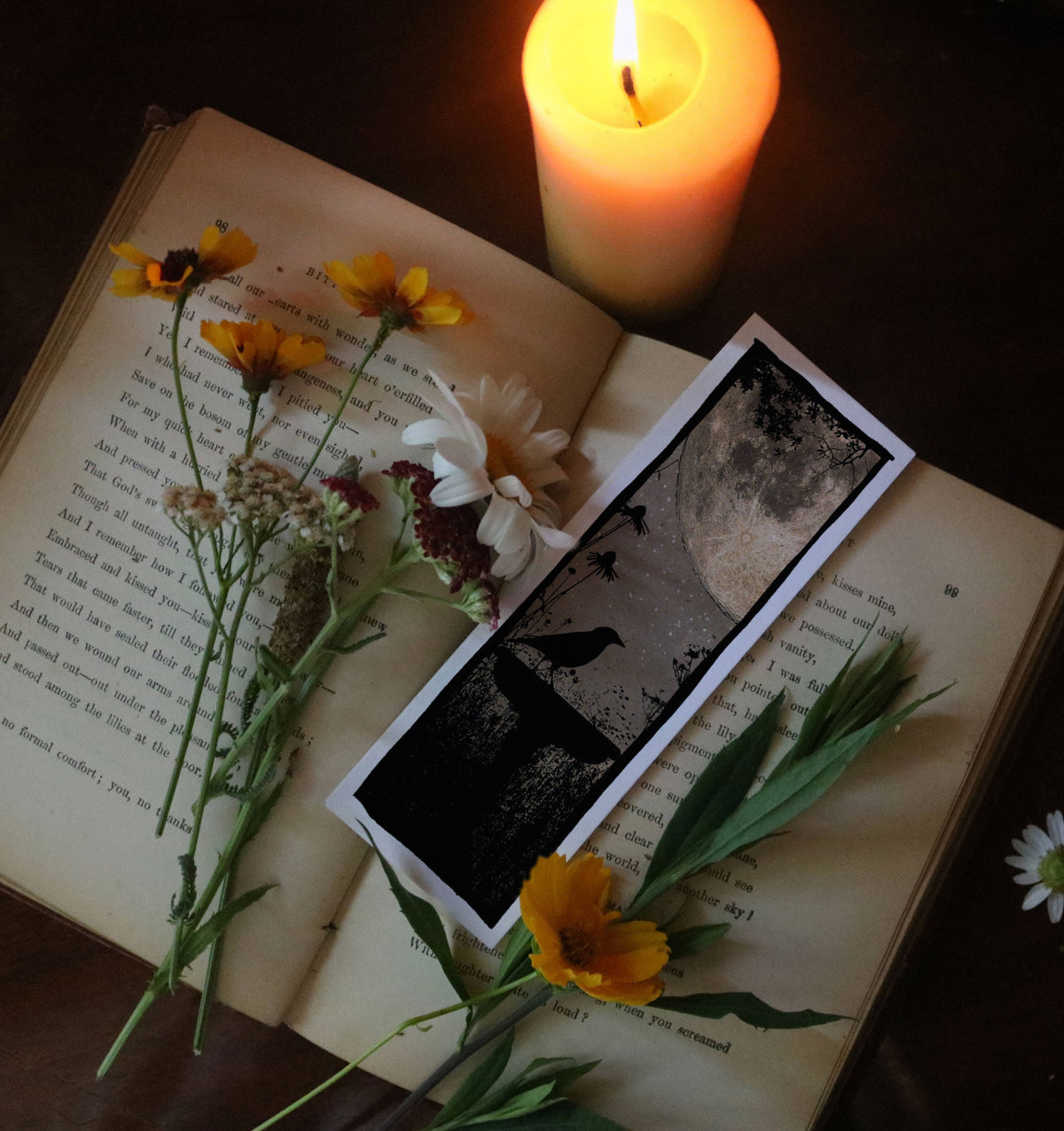 Moonlit Birdbath – Gothic Night Garden Bookmark