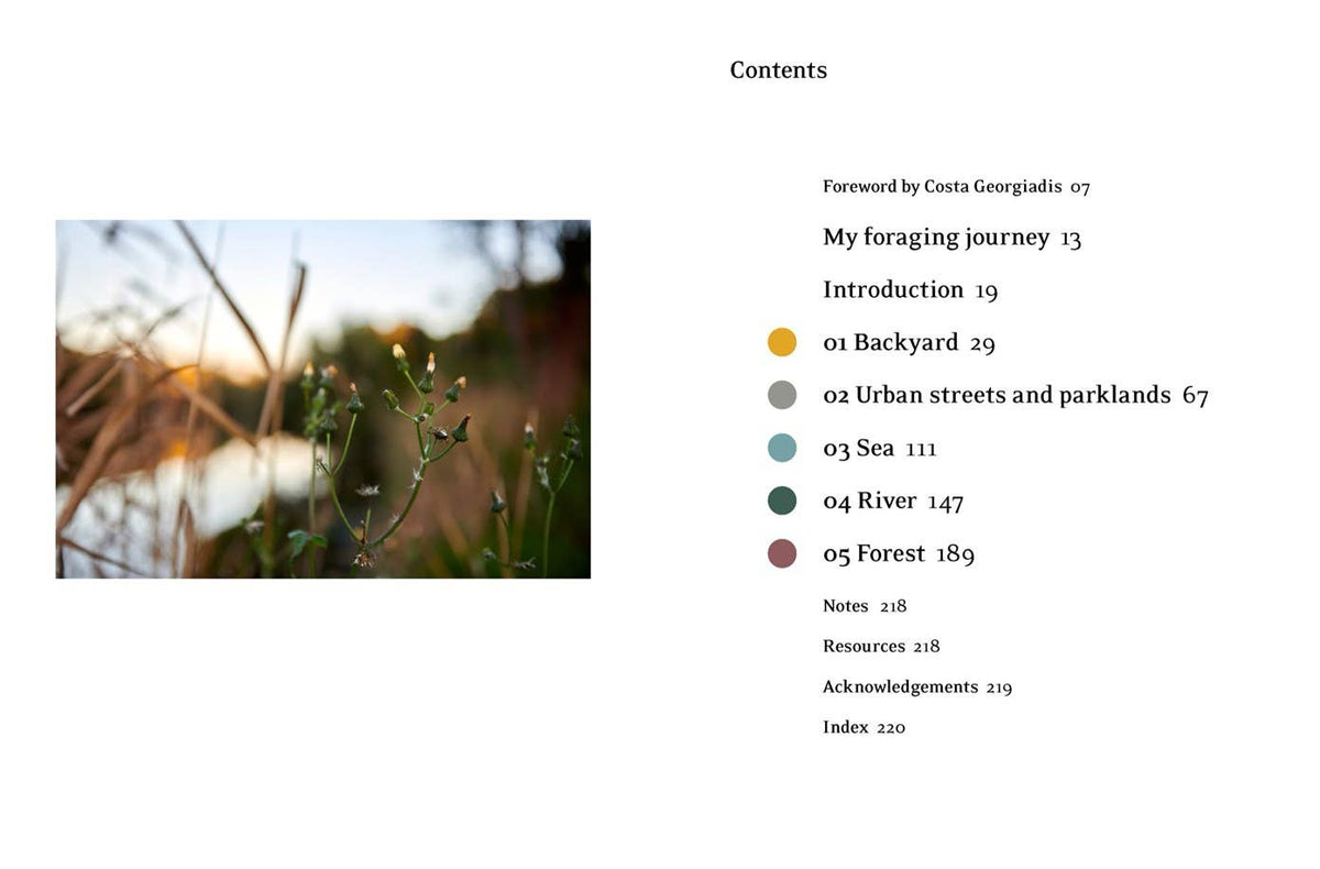 Eat Weeds: A Field Guide to Foraging