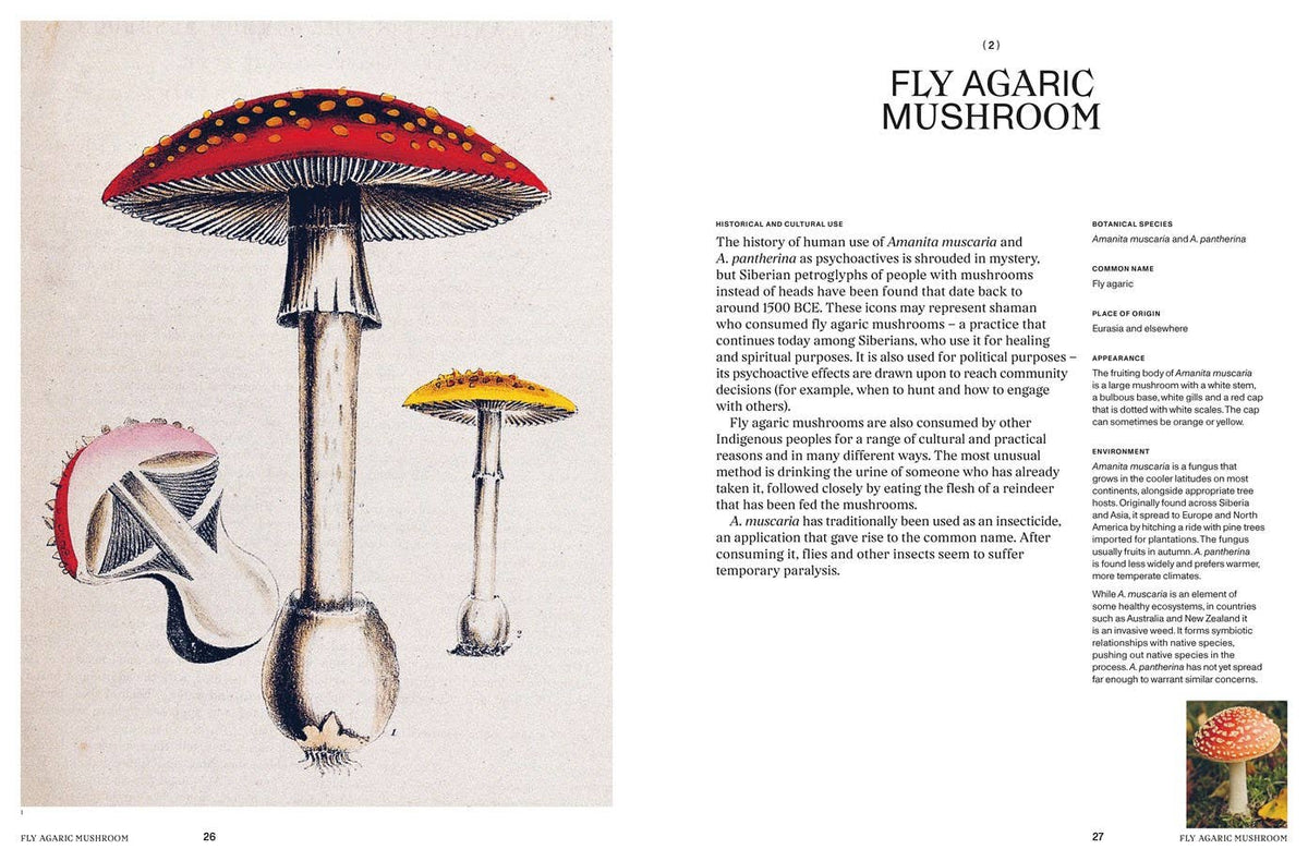 Psychoactive Plants & Fungi