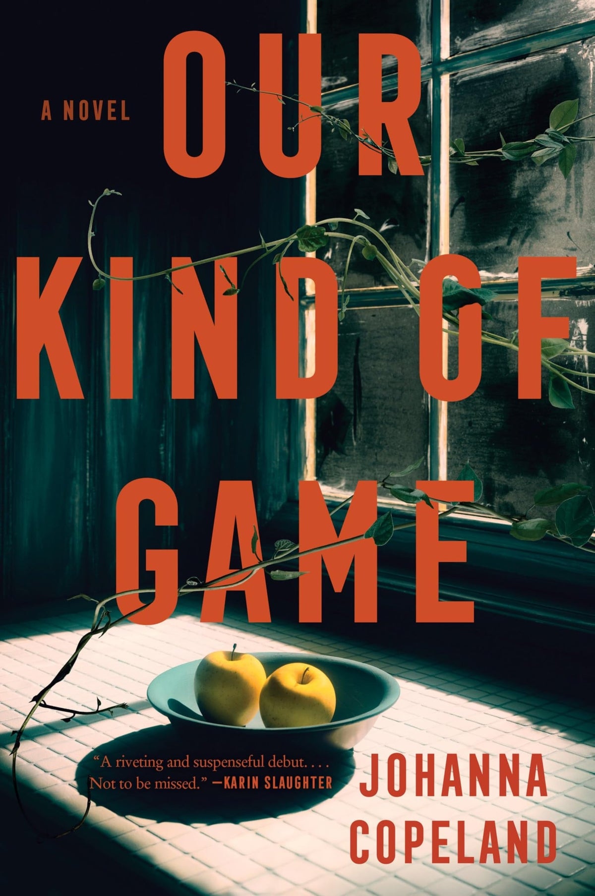 Our kind of game: A Novel