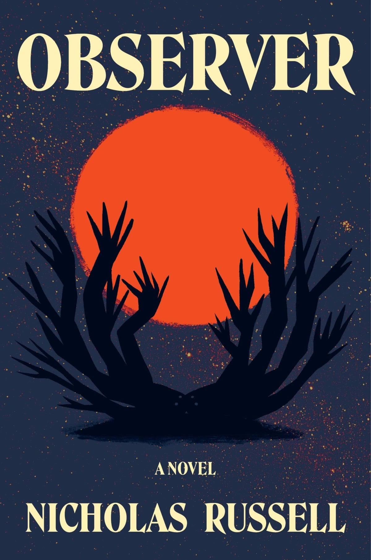 Observer: a novel