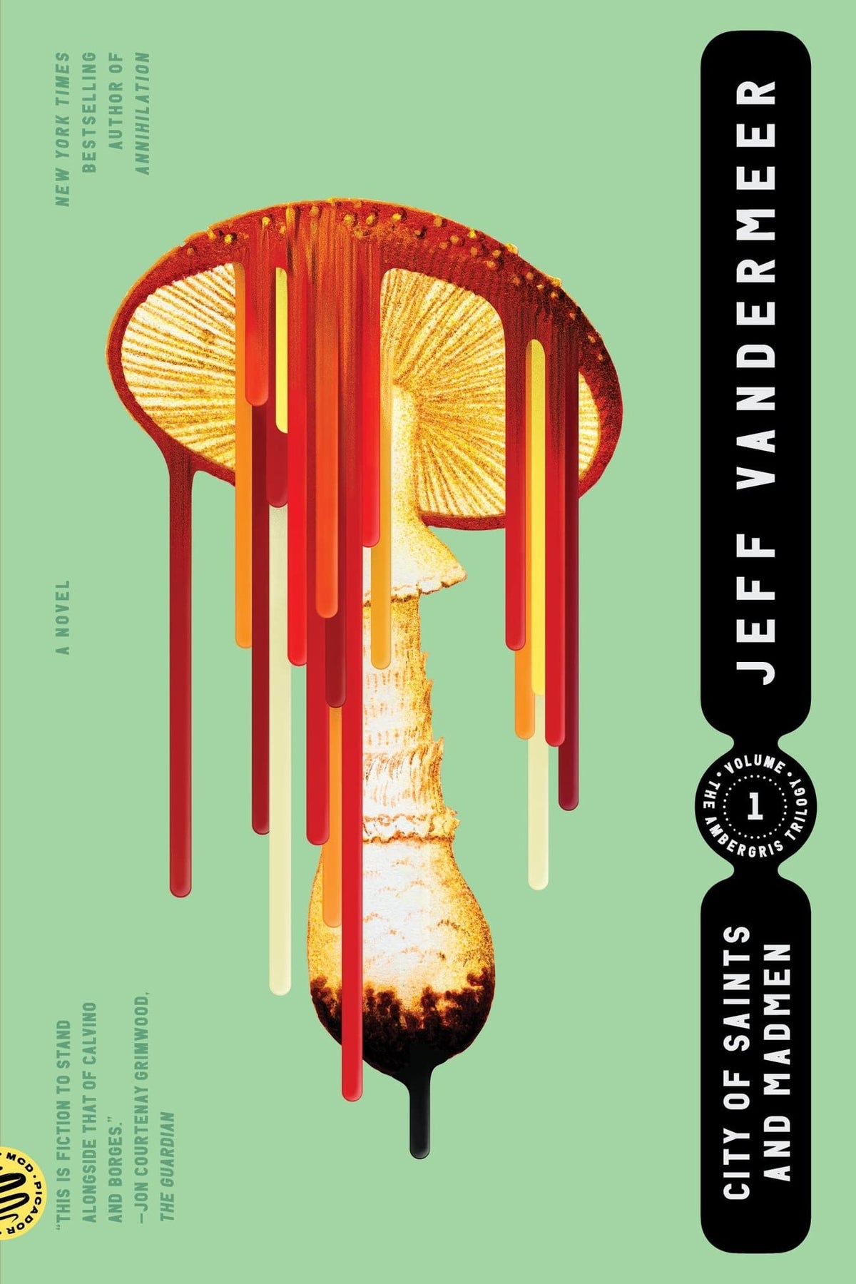 City of saints and madmen: A Novel