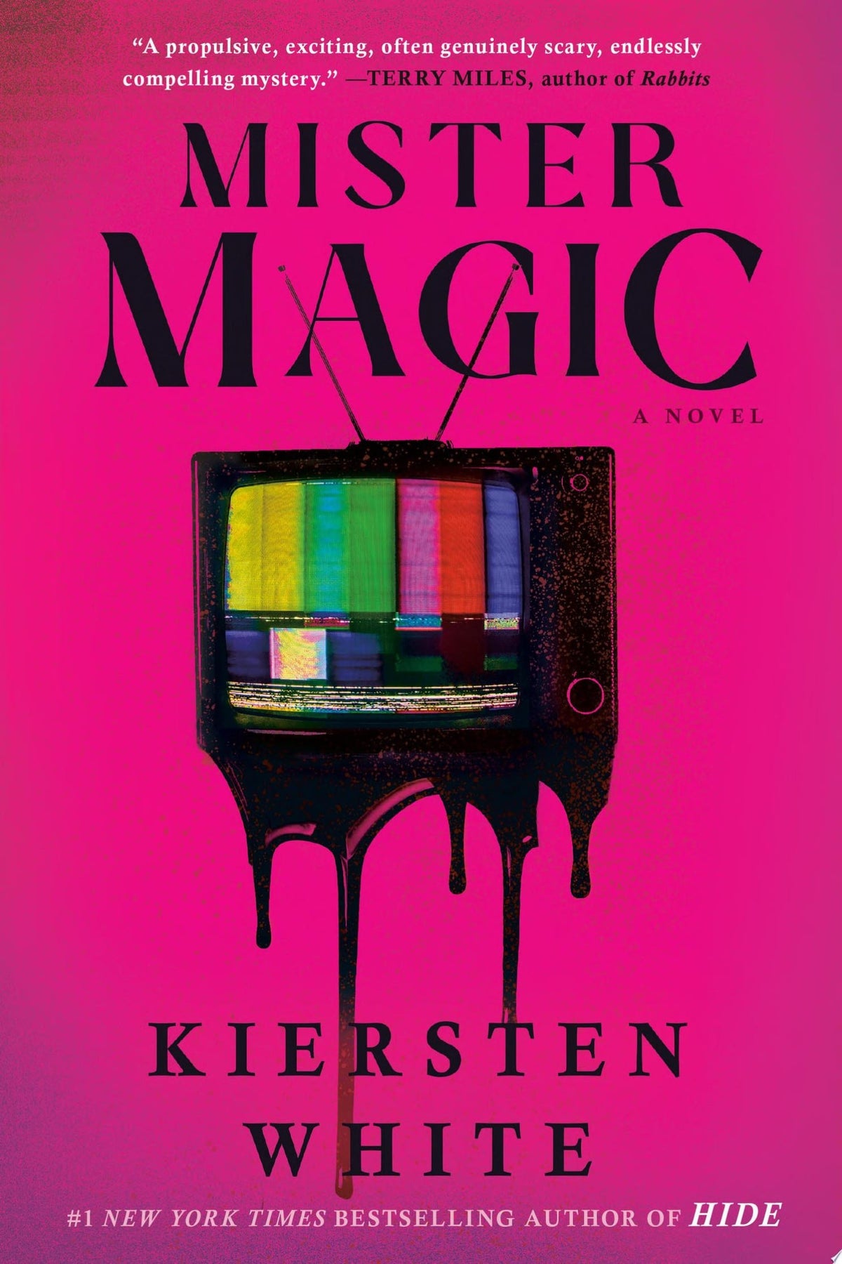 Mister Magic: a novel