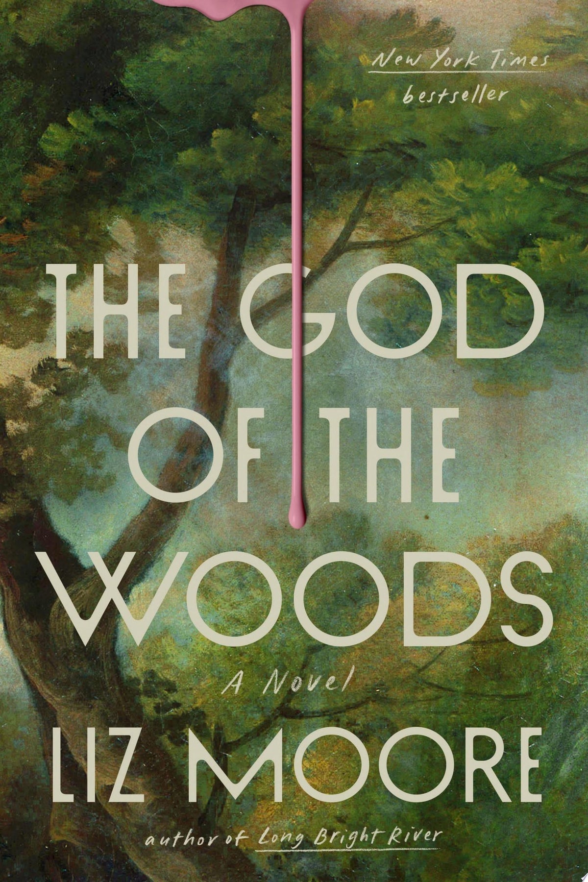 The god of the woods: A Novel