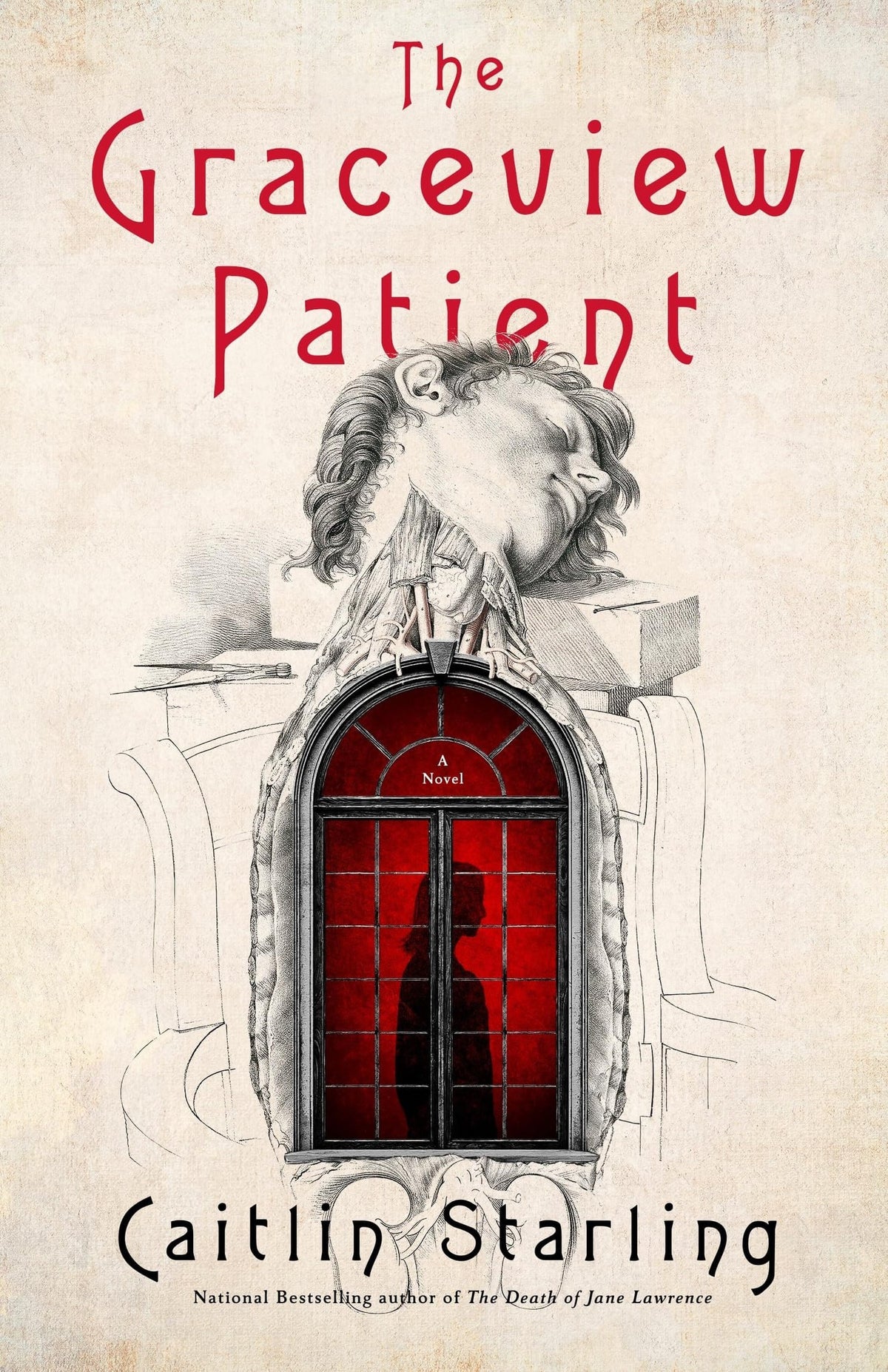 The Graceview patient: A Novel