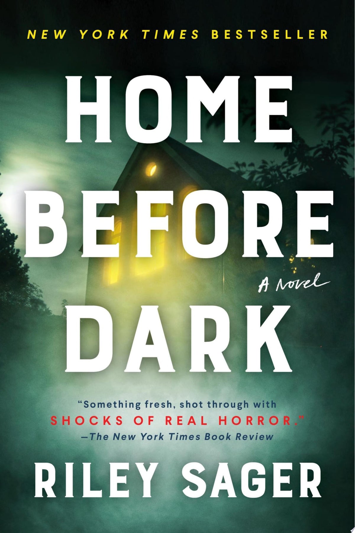 Home before dark: a novel