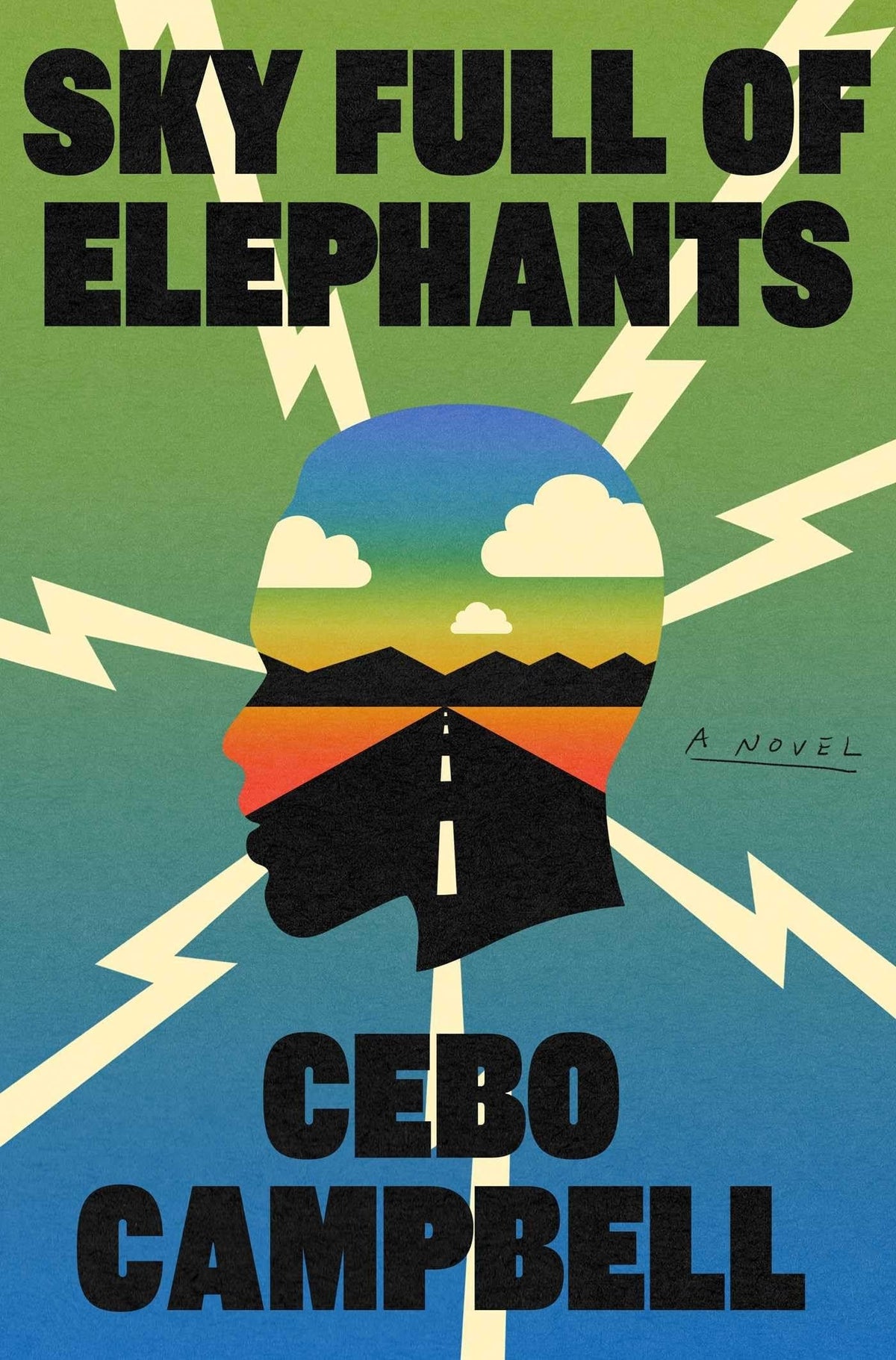 Sky Full of Elephants A Novel