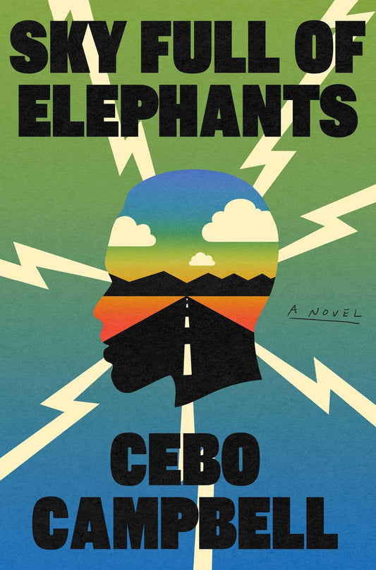 Sky Full of Elephants A Novel