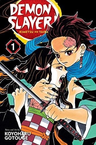 Demon slayer: kimetsu no yaiba