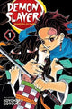Demon slayer: kimetsu no yaiba
