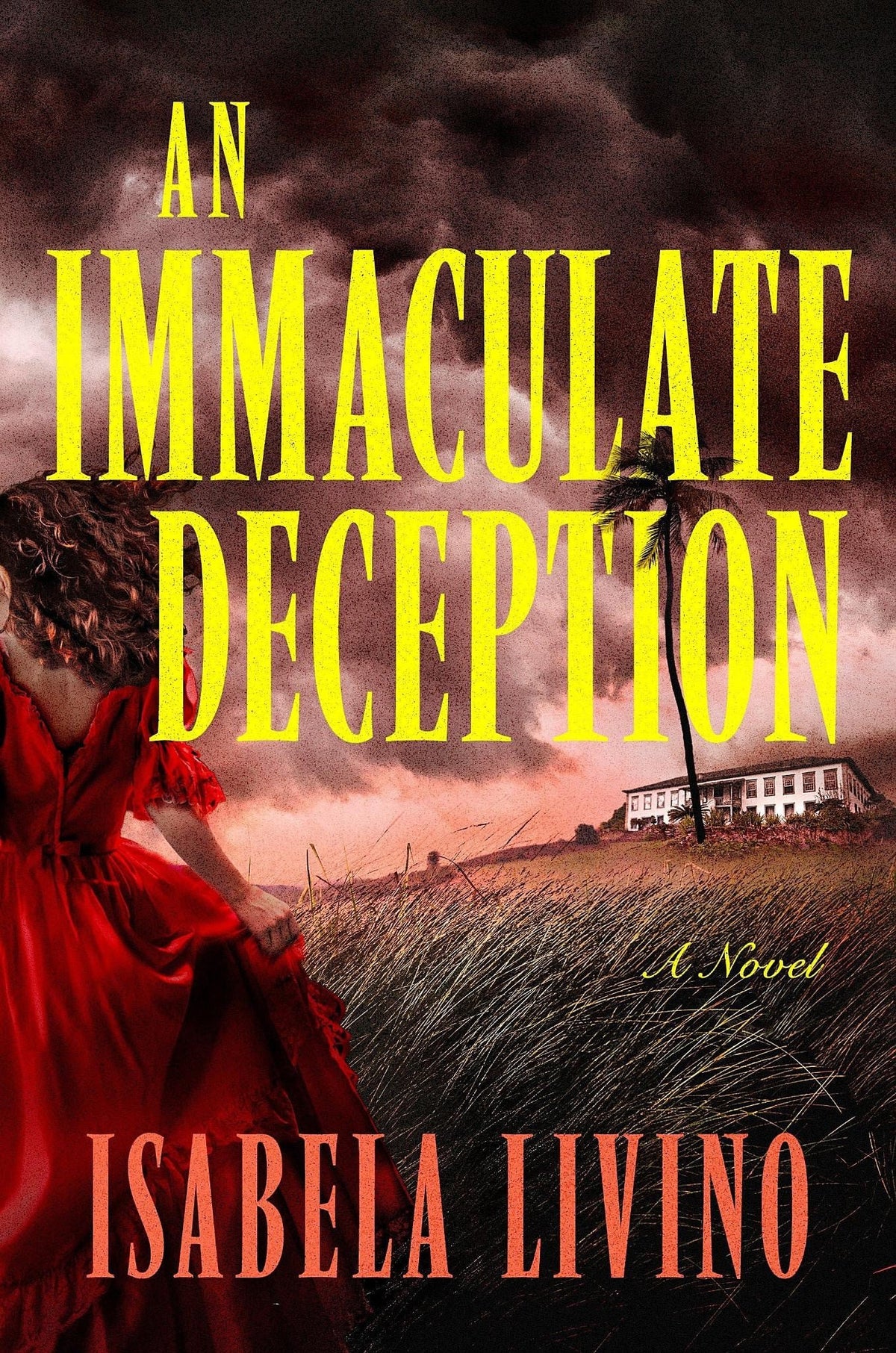 An Immaculate Deception - A Novel