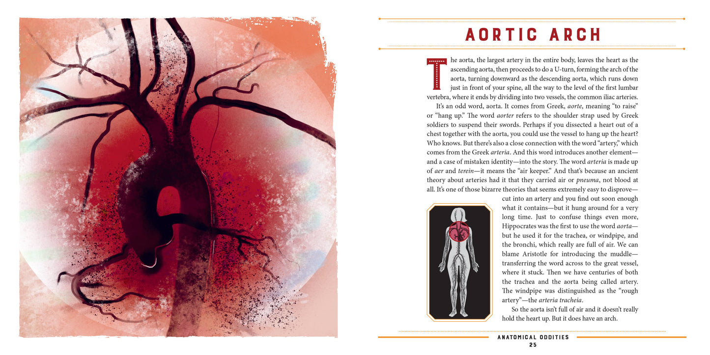 Anatomical Oddities