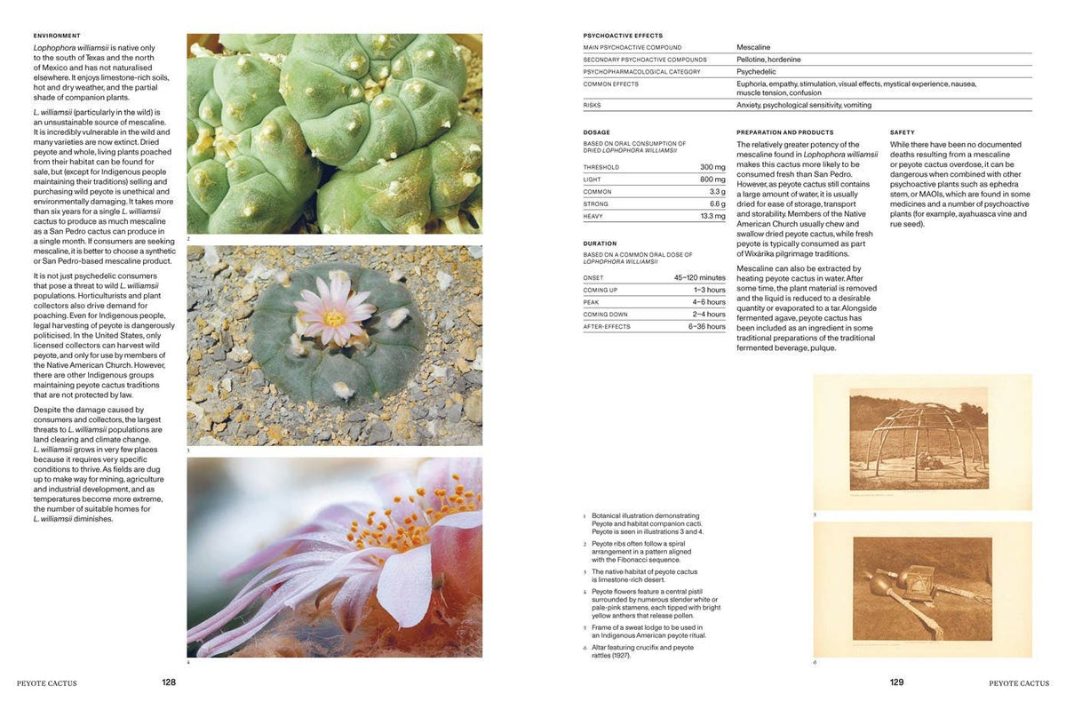 Psychoactive Plants & Fungi
