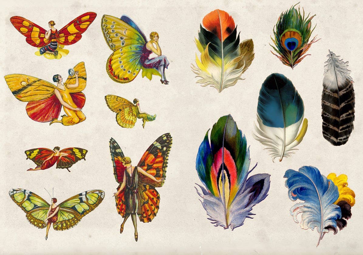 The Curious Collectibles Sticker Book