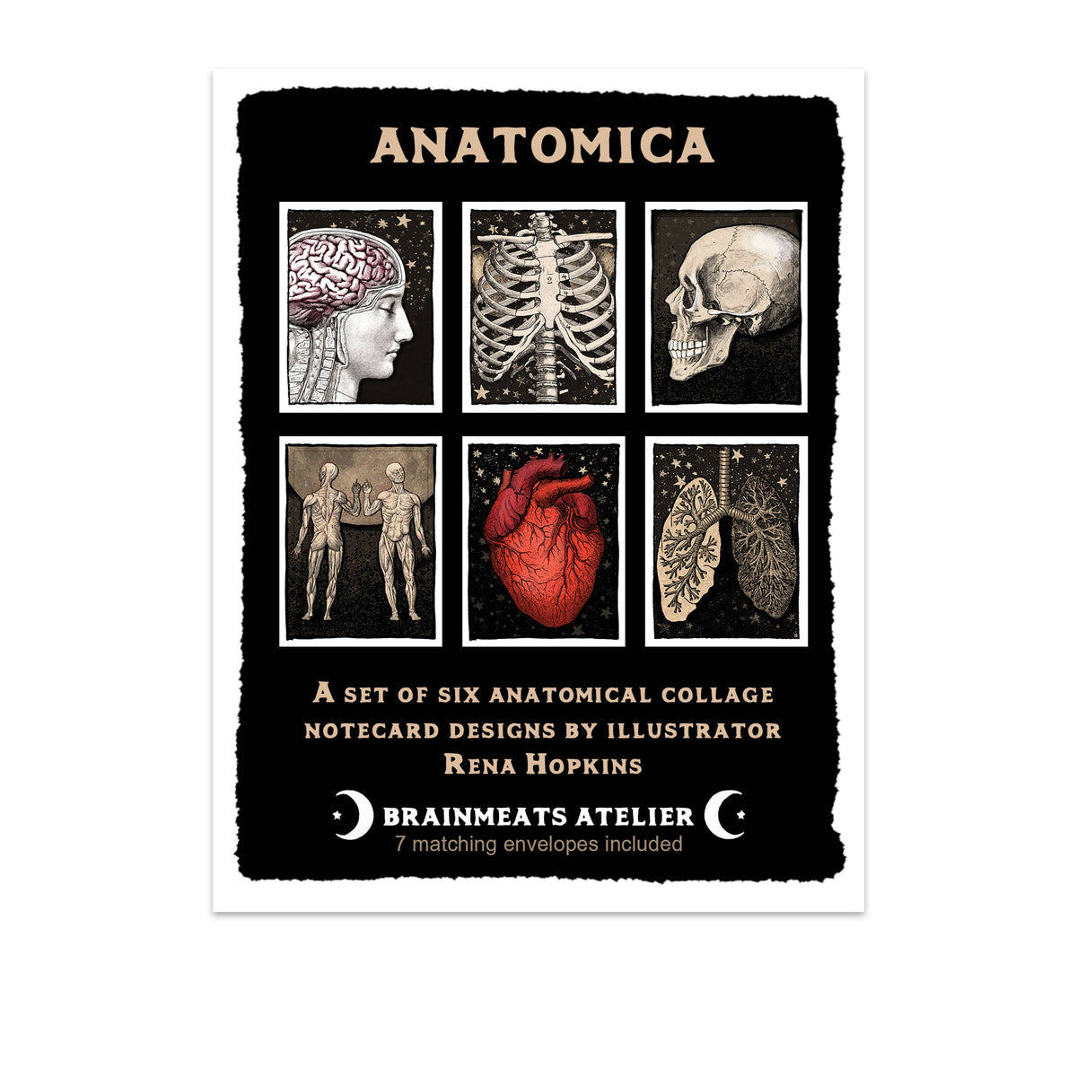 Anatomica – Human Anatomy Boxed Notecard Set