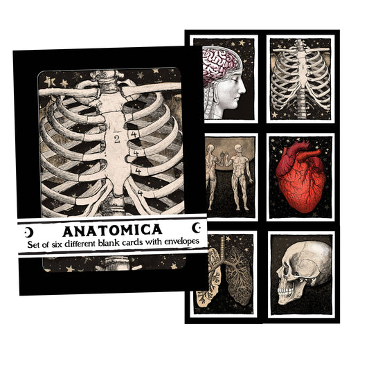 Anatomica – Human Anatomy Boxed Notecard Set