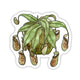 Pitcher Plant Sticker