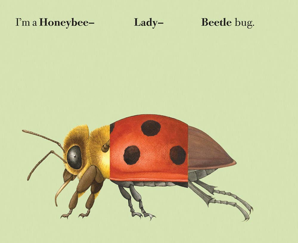 Build-A-Bug